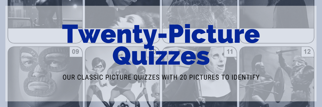 20 Picture Quizzes