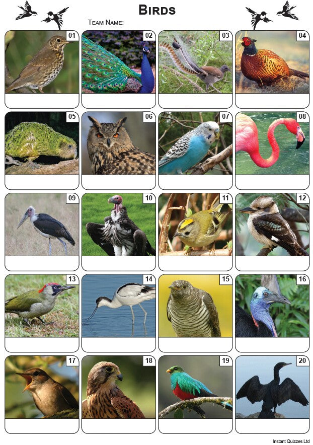 Birds Picture Quiz - PR2226