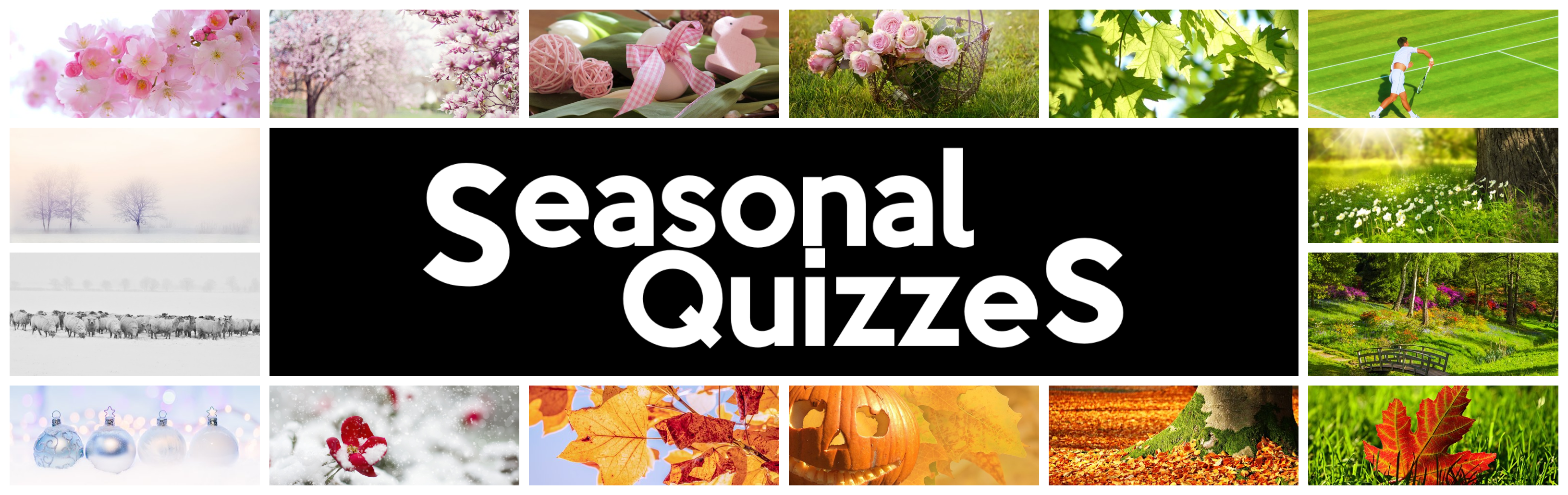 Seasonal Quizzes