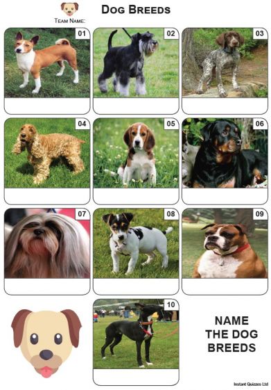 Dog breed hot sale quiz